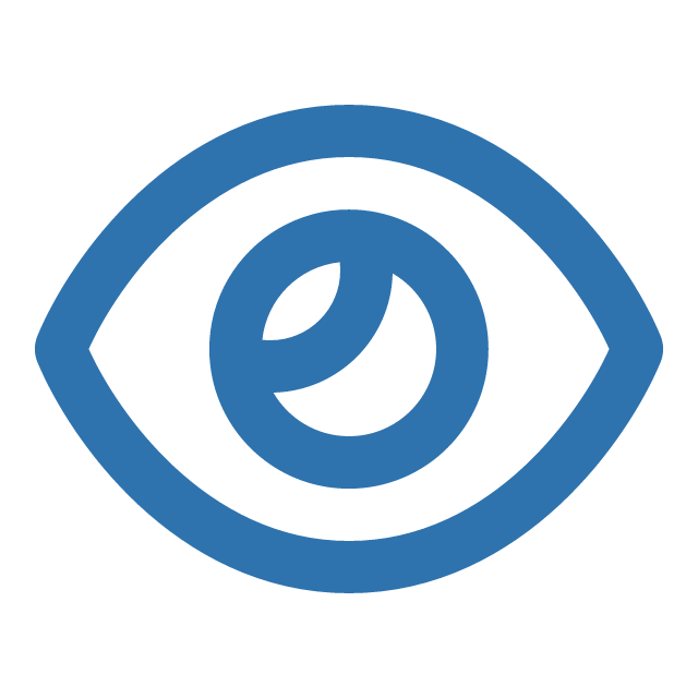 Our Vision
